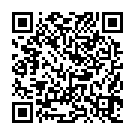 QR code for TIR343