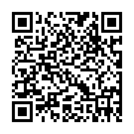 QR code for TIR995