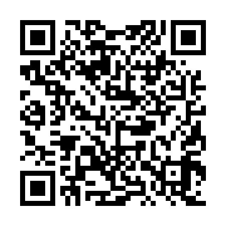 QR code for TIS519