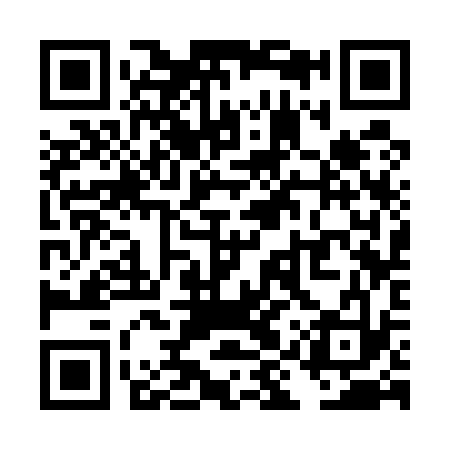 QR code for TIS533