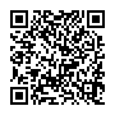 QR code for TIT295