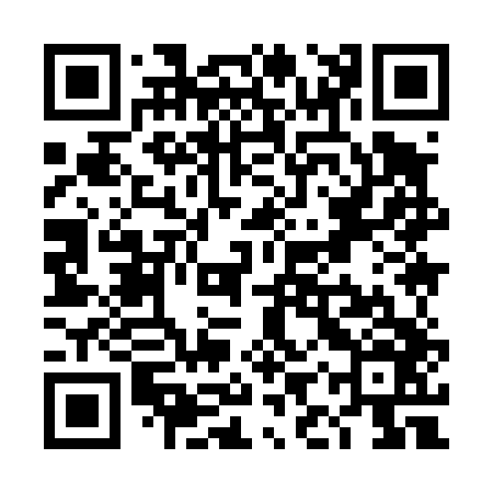 QR code for TIY446