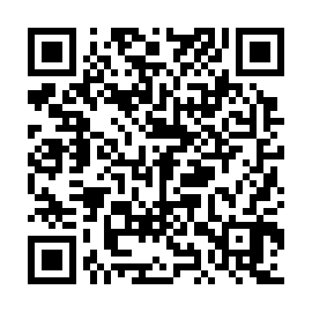 QR code for TIZ302