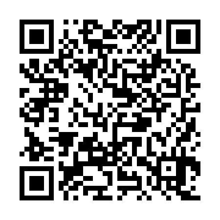 QR code for TIZ934