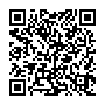 QR code for TIZ941