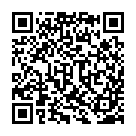 QR code for TLQ383