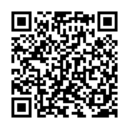 QR code for TLU095