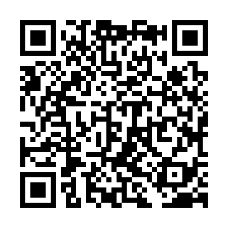QR code for TLZ339