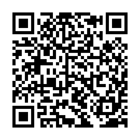 QR code for TMQ095