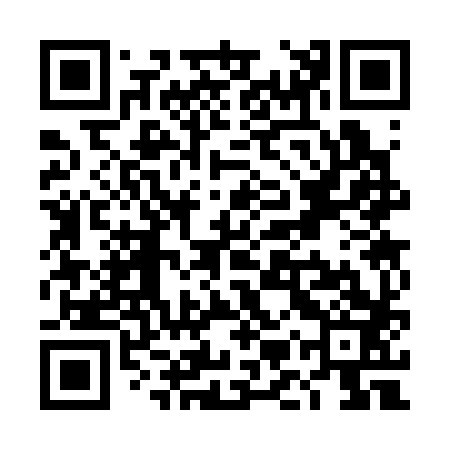 QR code for TMS383