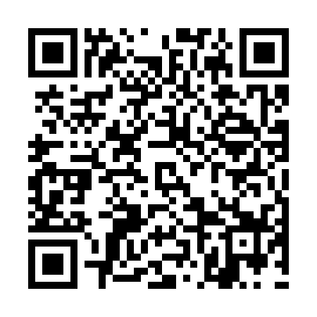 QR code for TNE339