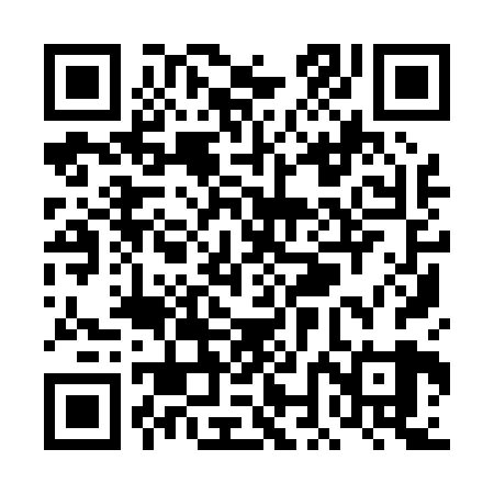QR code for TNI029