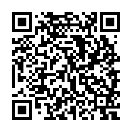 QR code for TON382