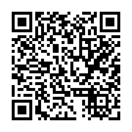 QR code for TPA383