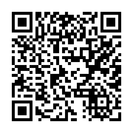 QR code for TPE095