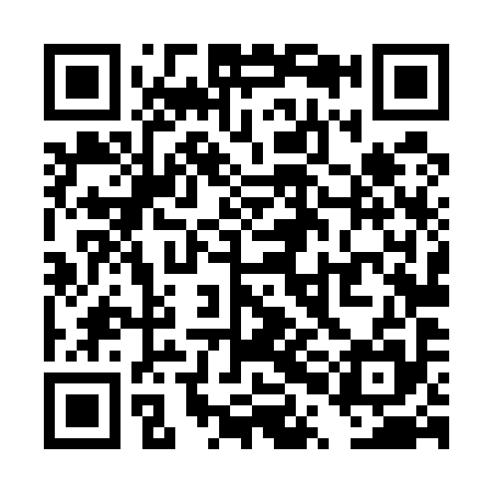 QR code for TPL595