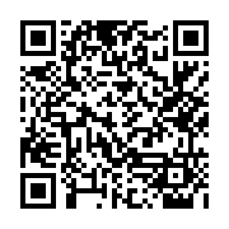 QR code for TPN463