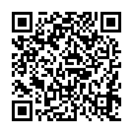 QR code for TPP959