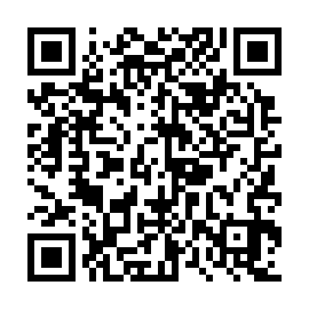 QR code for TPT333