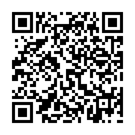 QR code for TPX938