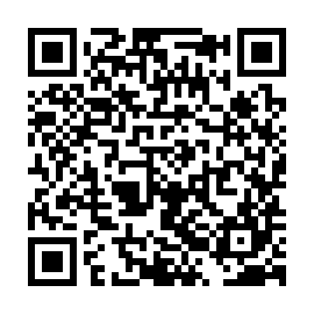 QR code for TRK384