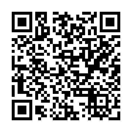 QR code for TSA933