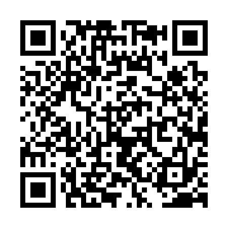 QR code for TST333