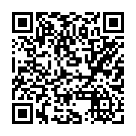 QR code for TUD295
