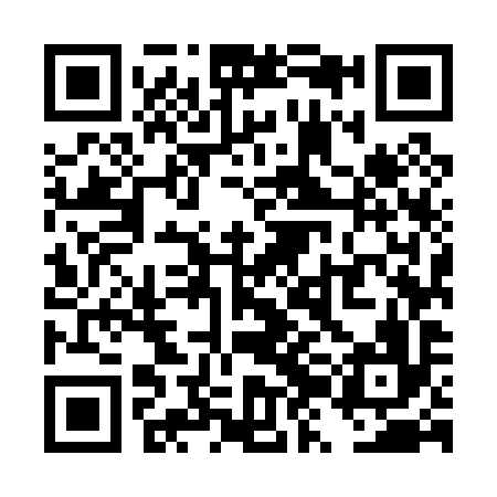 QR code for TZM096