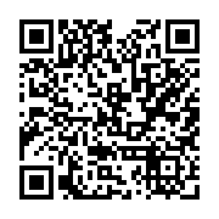 QR code for TZM383