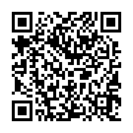 QR code for UAE217