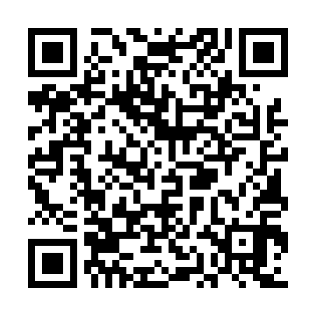 QR code for UAE410