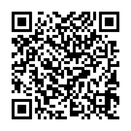 QR code for UAE719