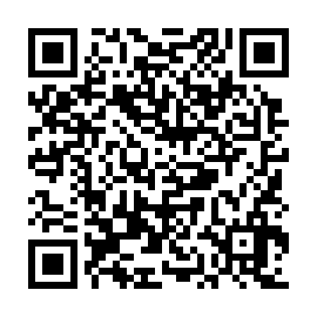 QR code for UAL336
