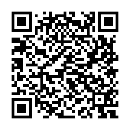 QR code for UAQ951