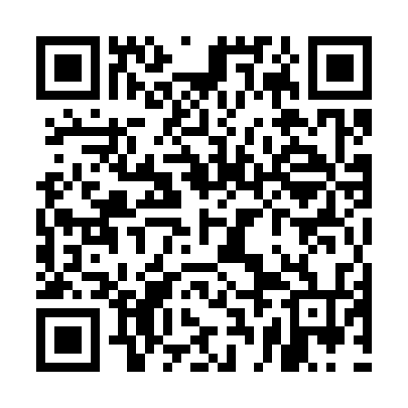 QR code for UBM334