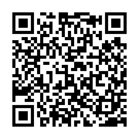 QR code for UDE603