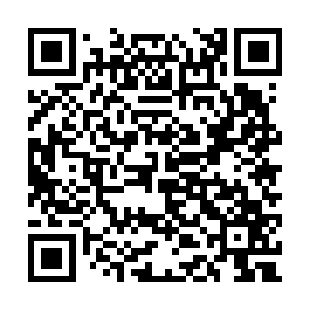 QR code for UDE667