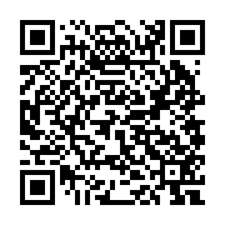 QR code for UDF253