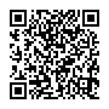 QR code for UDF971