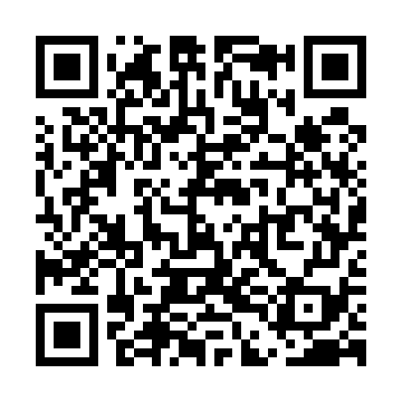 QR code for UDG579