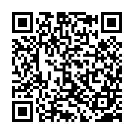 QR code for UDI002