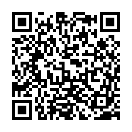 QR code for UDI163