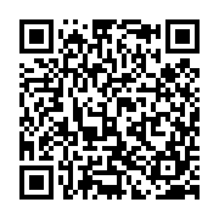 QR code for UDI454