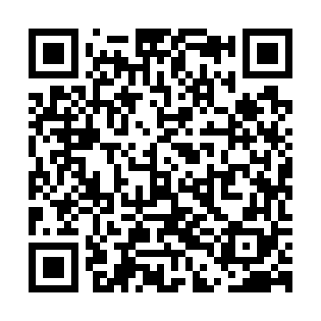 QR code for UDI768