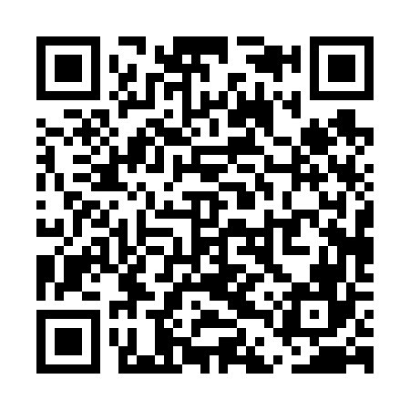 QR code for UDP666