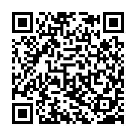QR code for UDU398