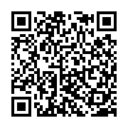 QR code for UDU768