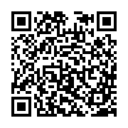QR code for UDX347