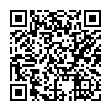QR code for UEZ991